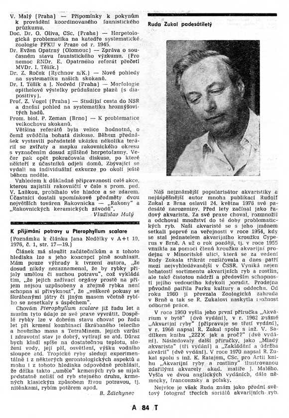 1975 - Herpetological conference Krivoklatsko
