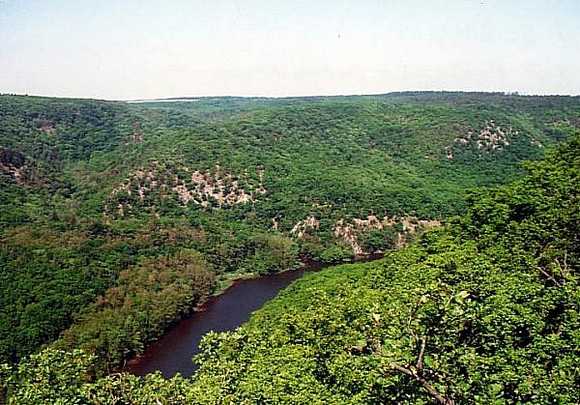 Dyje canyon