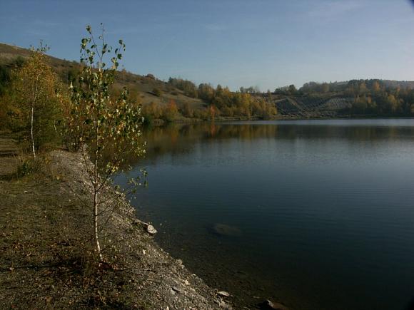 Ovčín u Radnic