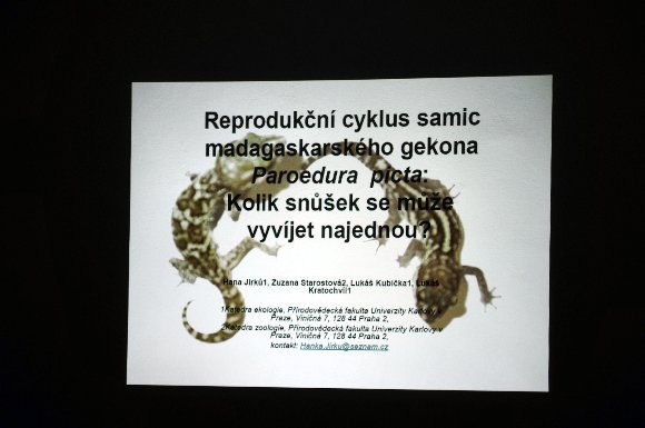 Presentation