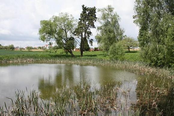 Pond near Hněvkovice