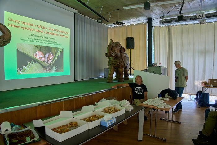 In the Prague Zoo