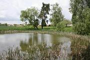 Rybník u Hněvkovic