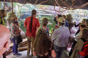 In the Prague Zoo