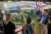 In the Prague Zoo