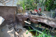 In the Prague Zoo