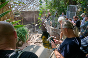 In the Prague Zoo